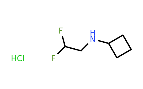 1010097-91-2 | N-(2,2-difluoroethyl)cyclobutanamine hydrochloride