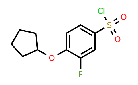 1016504-07-6 | 4-(Cyclopentyloxy)-3-fluorobenzene-1-sulfonyl chloride