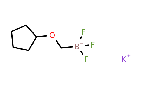 1027642-31-4 | Potassium cyclopentoxymethyltrifluoroborate