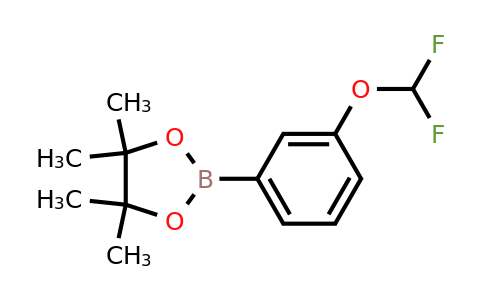 1035690-56-2 | 2-(3-(Difluoromethoxy)phenyl)-4,4,5,5-tetramethyl-1,3,2-dioxaborolane