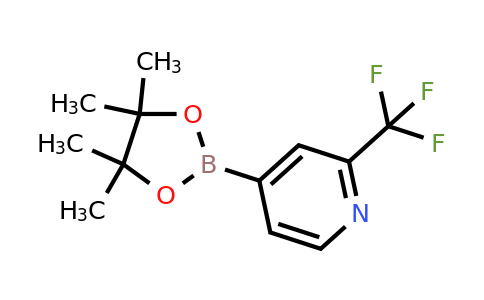 4-(4,4,5,5-Tetramethyl-1,3,2-dioxaborolan-2-yl)-2-(trifluoromethyl)pyridine
