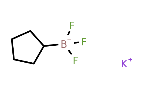 1040745-70-7 | Potassium cyclopentyl(trifluoro)boranuide