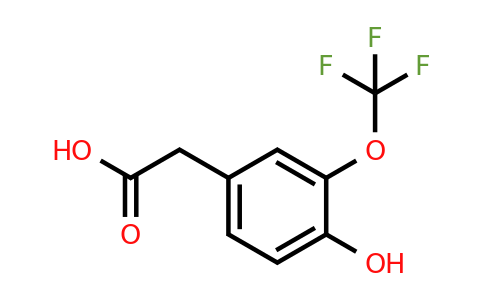 1042703-39-8 | 4-Hydroxy-3-(trifluoromethoxy)phenylacetic acid