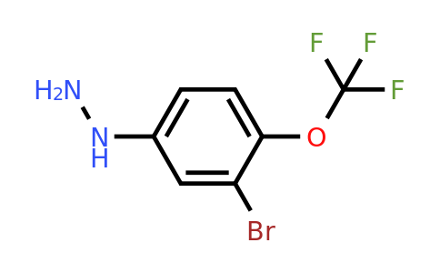 1076245-95-8 | 1-(3-Bromo-4-(trifluoromethoxy)phenyl)hydrazine