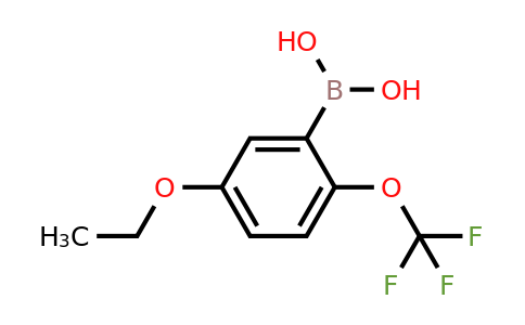 1076245-99-2 | (5-Ethoxy-2-(trifluoromethoxy)phenyl)boronic acid