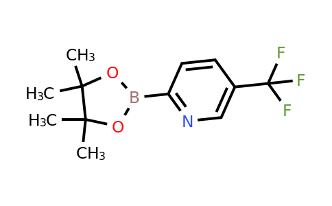 1101205-23-5 | 2-(4,4,5,5-Tetramethyl-1,3,2-dioxaborolan-2-yl)-5-(trifluoromethyl)pyridine
