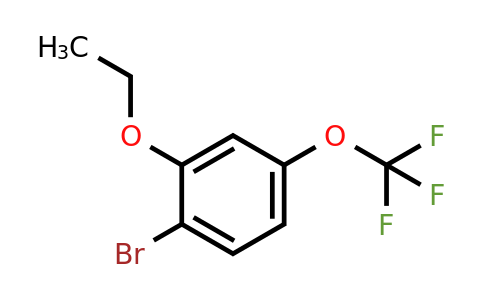 1162261-92-8 | 1-Bromo-2-ethoxy-4-(trifluoromethoxy)benzene
