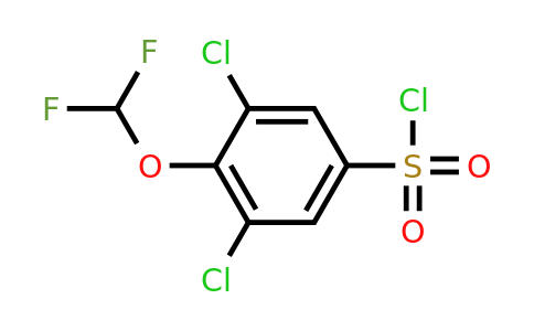 1183144-31-1 | 3,5-Dichloro-4-(difluoromethoxy)benzenesulfonylchloride