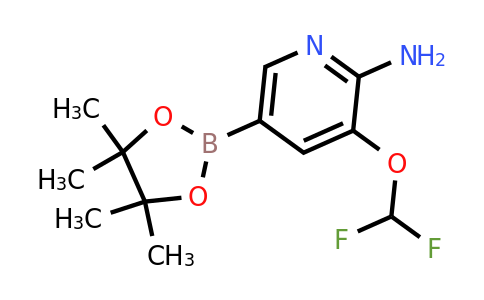 1188302-00-2 | 3-(Difluoromethoxy)-5-(4,4,5,5-tetramethyl-1,3,2-dioxaborolan-2-yl)pyridin-2-amine