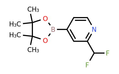 1193104-53-8 | 2-(Difluoromethyl)-4-(4,4,5,5-tetramethyl-1,3,2-dioxaborolan-2-yl)pyridine