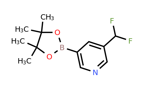 1220696-58-1 | 3-(Difluoromethyl)-5-(4,4,5,5-tetramethyl-1,3,2-dioxaborolan-2-yl)pyridine