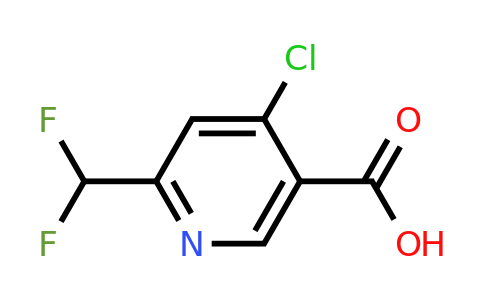 1256821-60-9 | 4-Chloro-6-(difluoromethyl)nicotinic acid