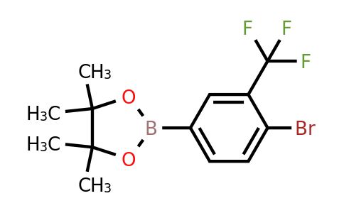 1256944-74-7 | 2-(4-Bromo-3-(trifluoromethyl)phenyl)-4,4,5,5-tetramethyl-1,3,2-dioxaborolane