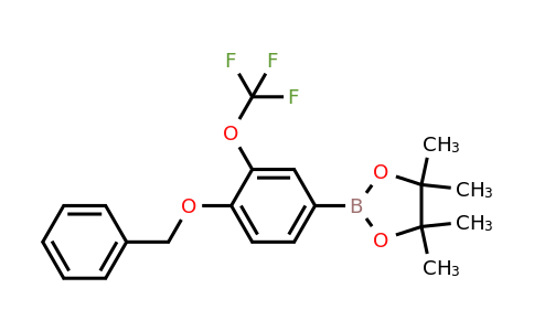1257078-69-5 | 1,3,2-Dioxaborolane, 4,4,5,5-tetramethyl-2-[4-(phenylmethoxy)-3-(trifluoromethoxy)phenyl]-