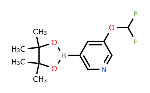 1257554-65-6 | 3-(Difluoromethoxy)-5-(4,4,5,5-tetramethyl-1,3,2-dioxaborolan-2-yl)pyridine