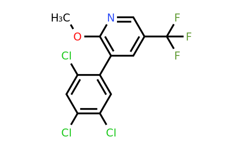1261437-36-8 | 2-Methoxy-3-(2,4,5-trichlorophenyl)-5-(trifluoromethyl)pyridine