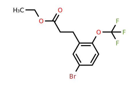 1261442-84-5 | Ethyl 3-(5'-bromo-2'-(trifluoromethoxy)phenyl)propionate