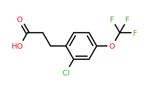 1261443-39-3 | 3-(2'-Chloro-4'-(trifluoromethoxy)phenyl)propionic acid