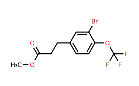 1261443-77-9 | Methyl 3-(3'-bromo-4'-(trifluoromethoxy)phenyl)propionate