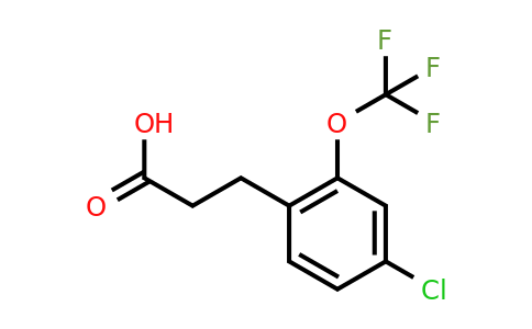 1261450-31-0 | 3-(4'-Chloro-2'-(trifluoromethoxy)phenyl)propionic acid