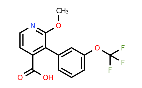 1261451-06-2 | 2-Methoxy-3-(3-(trifluoromethoxy)phenyl)isonicotinic acid