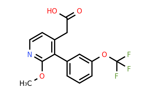 1261451-10-8 | 2-Methoxy-3-(3-(trifluoromethoxy)phenyl)pyridine-4-acetic acid