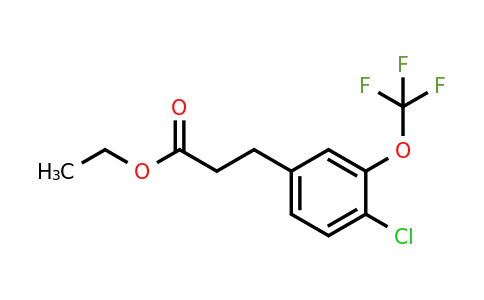 1261451-52-8 | Ethyl 3-(4'-chloro-3'-(trifluoromethoxy)phenyl)propionate