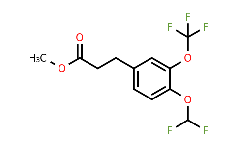 1261453-82-0 | Methyl 3-(4'-(difluoromethoxy)-3'-(trifluoromethoxy)phenyl)propionate