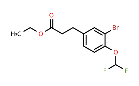 1261455-64-4 | Ethyl 3-(3'-bromo-4'-(difluoromethoxy)phenyl)propionate