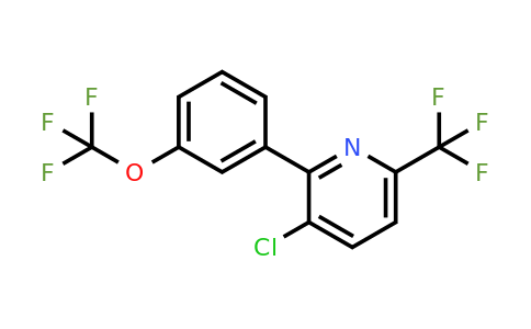 1261457-25-3 | 3-Chloro-2-(3-(trifluoromethoxy)phenyl)-6-(trifluoromethyl)pyridine