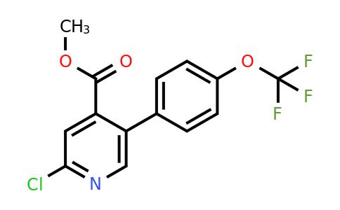 1261464-44-1 | Methyl 2-chloro-5-(4-(trifluoromethoxy)phenyl)isonicotinate