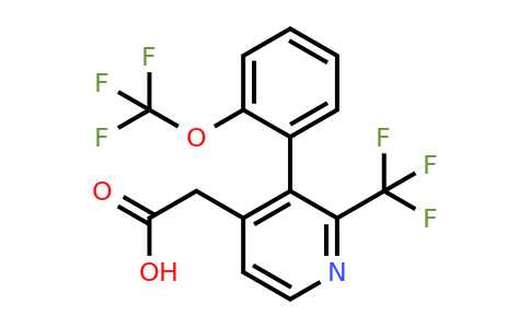 1261466-40-3 | 3-(2-(Trifluoromethoxy)phenyl)-2-(trifluoromethyl)pyridine-4-acetic acid