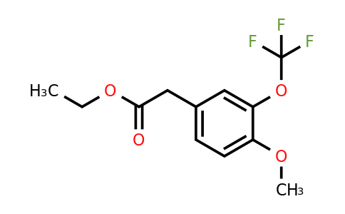 1261478-34-5 | Ethyl 4-methoxy-3-(trifluoromethoxy)phenylacetate