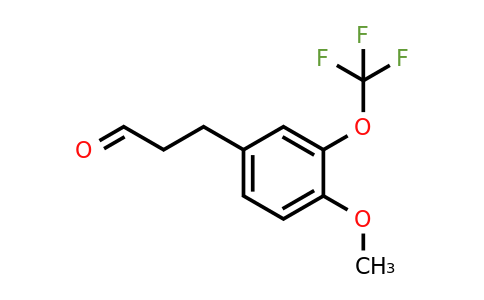 1261483-21-9 | 3-(4'-Methoxy-3'-(trifluoromethoxy)phenyl)propionaldehyde