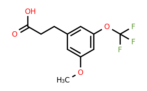 1261483-28-6 | 3-(3'-Methoxy-5'-(trifluoromethoxy)phenyl)propionic acid