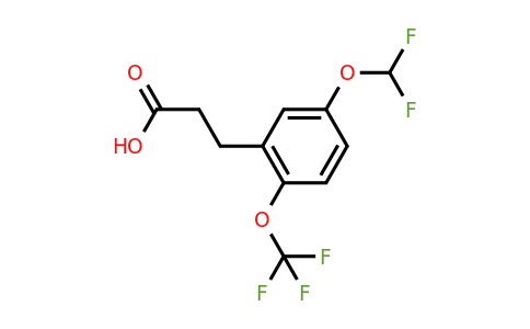 1261499-93-7 | 3-(5'-(Difluoromethoxy)-2'-(trifluoromethoxy)phenyl)propionic acid