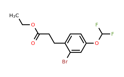 1261500-24-6 | Ethyl 3-(2'-bromo-4'-(difluoromethoxy)phenyl)propionate