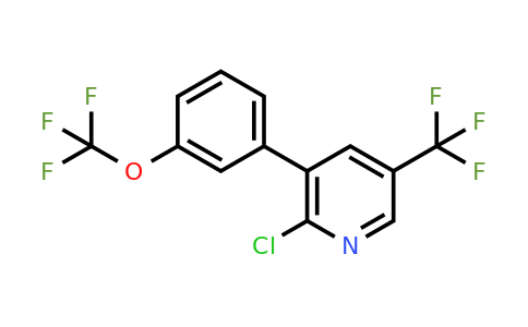 1261502-70-8 | 2-Chloro-3-(3-(trifluoromethoxy)phenyl)-5-(trifluoromethyl)pyridine