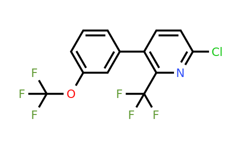 1261503-32-5 | 6-Chloro-3-(3-(trifluoromethoxy)phenyl)-2-(trifluoromethyl)pyridine