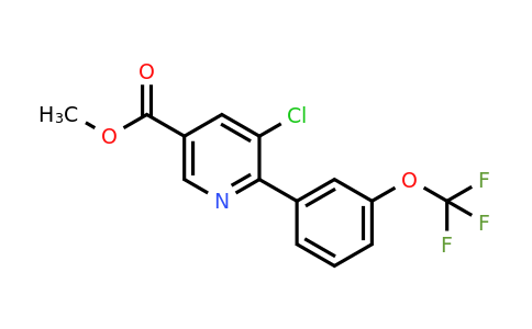 1261504-65-7 | Methyl 5-chloro-6-(3-(trifluoromethoxy)phenyl)nicotinate