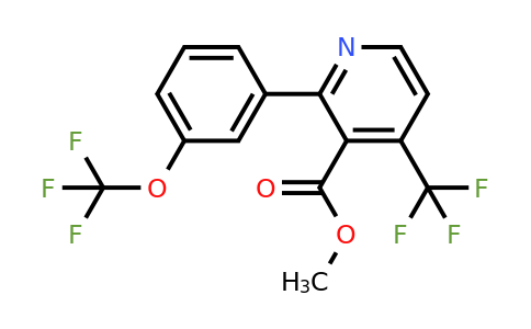 1261530-73-7 | Methyl 2-(3-(trifluoromethoxy)phenyl)-4-(trifluoromethyl)nicotinate