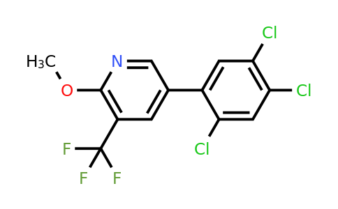 1261548-69-9 | 2-Methoxy-5-(2,4,5-trichlorophenyl)-3-(trifluoromethyl)pyridine