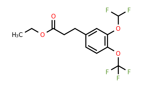 1261553-08-5 | Ethyl 3-(3'-(difluoromethoxy)-4'-(trifluoromethoxy)phenyl)propionate