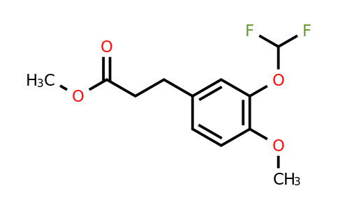 1261553-36-9 | Methyl 3-(3'-(difluoromethoxy)-4'-methoxyphenyl)propionate