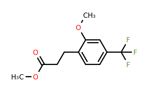 1261553-56-3 | Methyl 3-(2'-methoxy-4'-(trifluoromethyl)phenyl)propionate