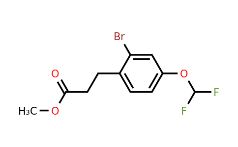 1261558-55-7 | Methyl 3-(2'-bromo-4'-(difluoromethoxy)phenyl)propionate