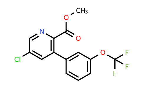 1261558-58-0 | Methyl 5-chloro-3-(3-(trifluoromethoxy)phenyl)picolinate
