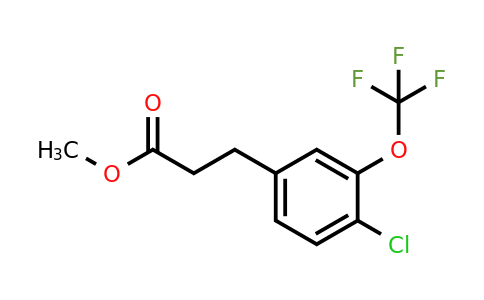 1261559-79-8 | Methyl 3-(4'-chloro-3'-(trifluoromethoxy)phenyl)propionate