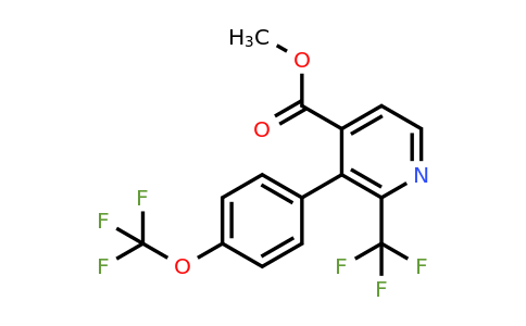 1261561-09-4 | Methyl 3-(4-(trifluoromethoxy)phenyl)-2-(trifluoromethyl)isonicotinate