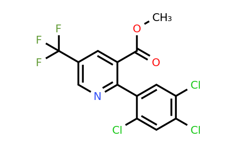 1261568-56-2 | Methyl 2-(2,4,5-trichlorophenyl)-5-(trifluoromethyl)nicotinate